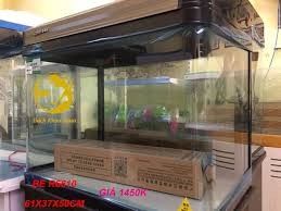 Bể R6610